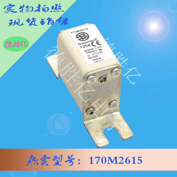 170M2615.jpg 170M2615.jpg