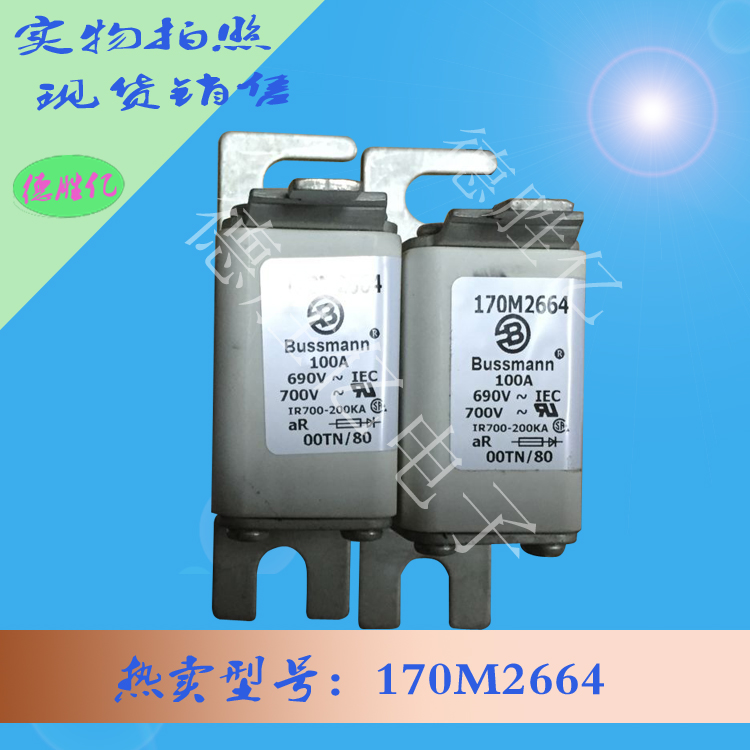 170M2664.jpg 170M2664.jpg