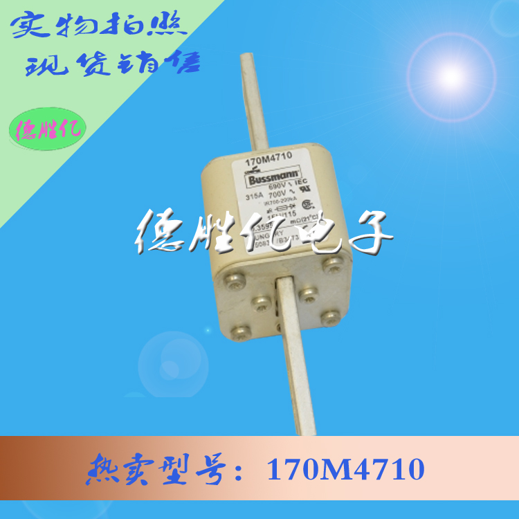 170M4710.jpg 170M4710.jpg