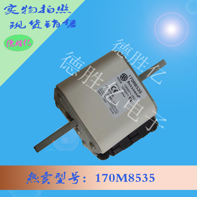 170M8535.jpg 170M8535.jpg