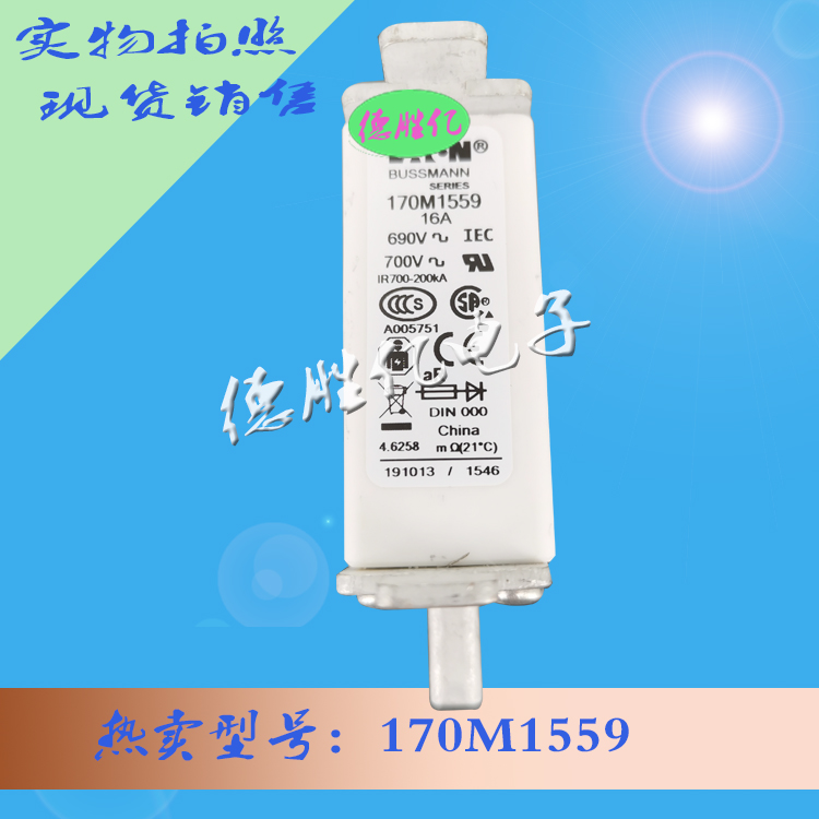 170M1559.jpg 170M1559.jpg