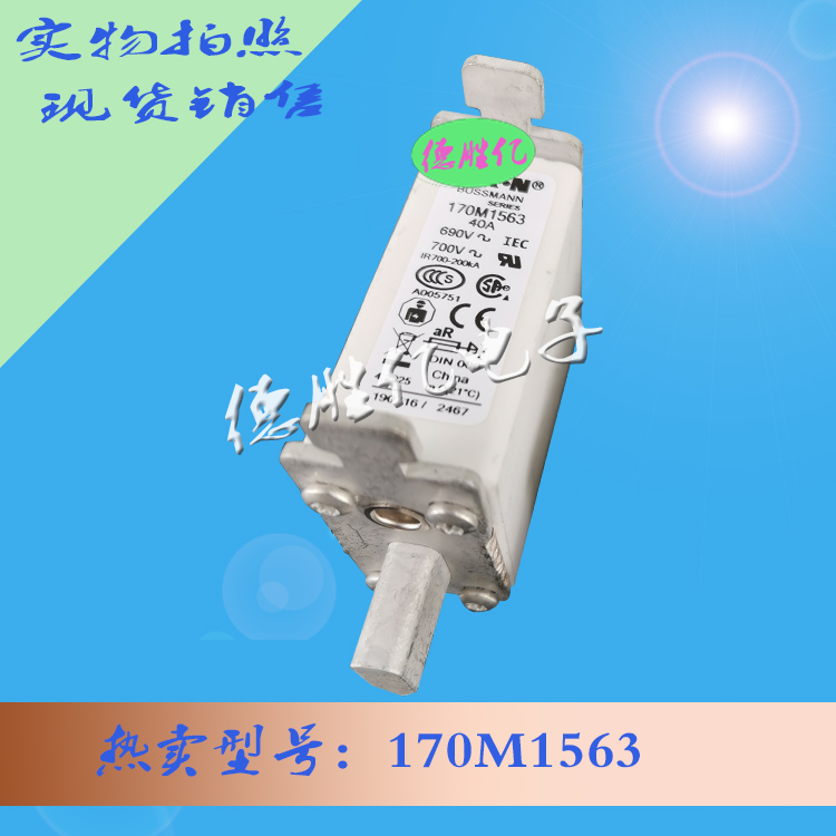 170M1563.jpg 170M1563.jpg