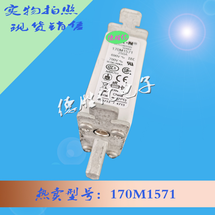 170M1571.jpg 170M1571.jpg