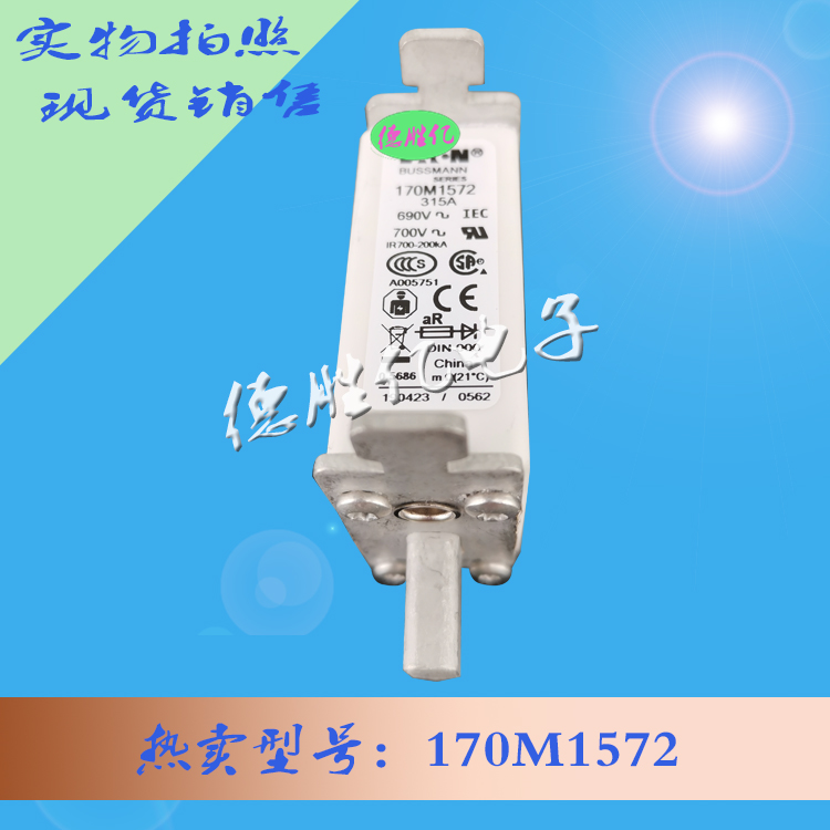 170M1572.jpg 170M1572.jpg