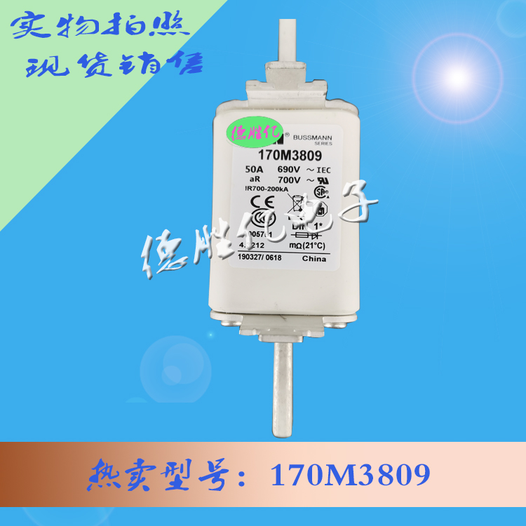 170M3809 1.jpg 170M3809 1.jpg