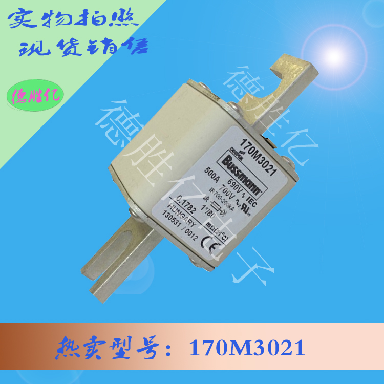 170M3021.jpg 170M3021.jpg