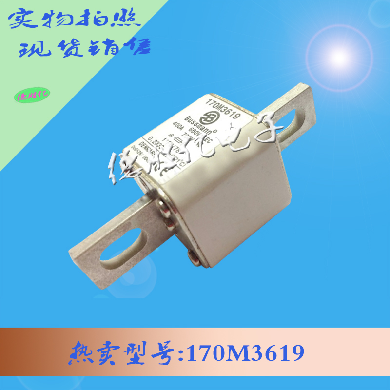 170M3619.jpg 170M3619.jpg